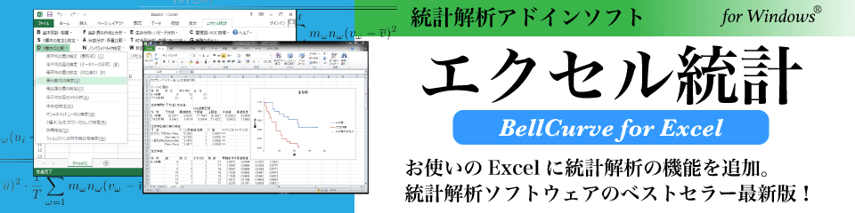 エクセル統計の概要